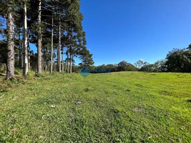 Fazenda venda em Região Geográfica Imediata de Caxias do Sul, Caxias do Sul