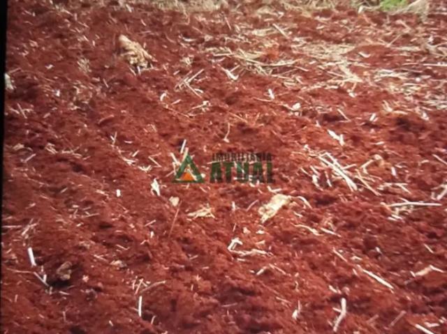 Fazenda venda em Região Geográfica Imediata de Londrina, Londrina