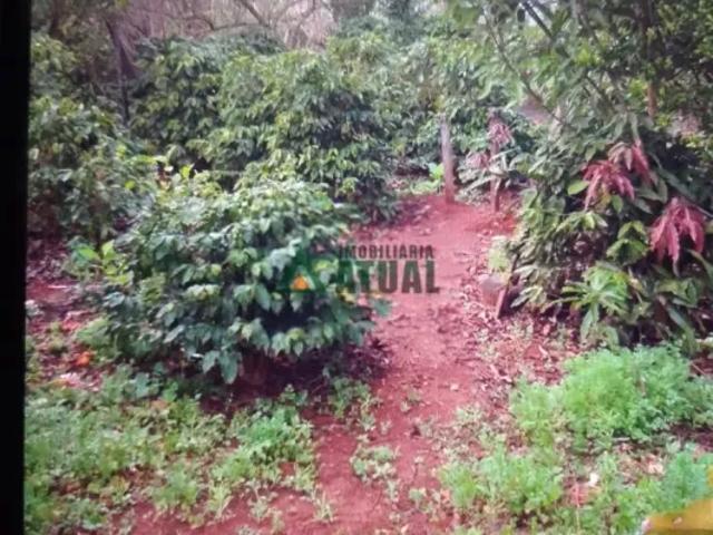 Fazenda venda em Região Geográfica Imediata de Londrina, Londrina
