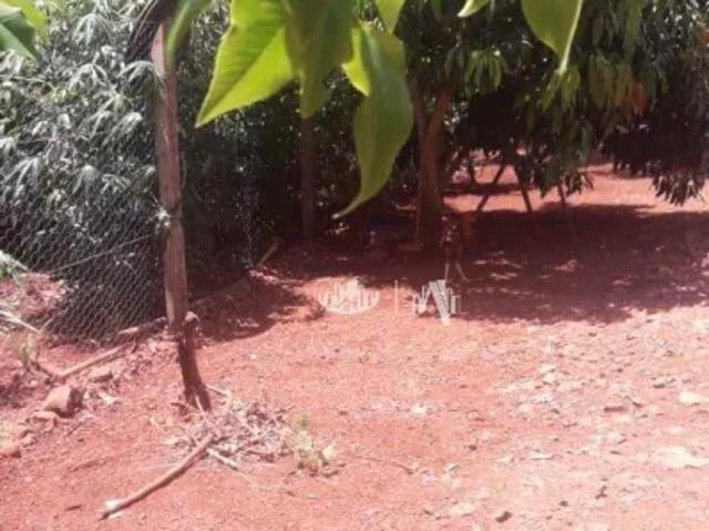 Fazenda venda em Região Geográfica Imediata de Londrina, Alvorada do Sul