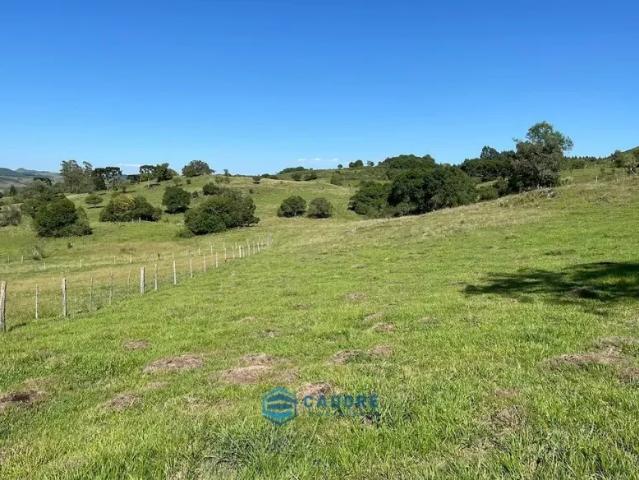 Fazenda venda em Primeiro Distrito, Caxias do Sul