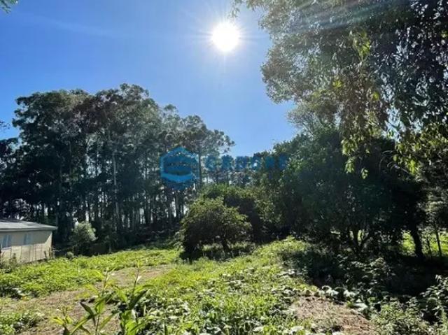 Fazenda venda em Região Geográfica Imediata de Caxias do Sul, Caxias do Sul