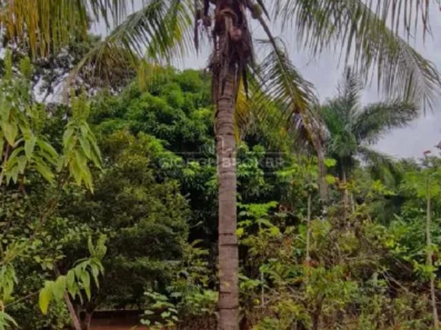 Fazenda venda em Região Imediata de São José do Rio Preto, Região Metropolitana de São José do Rio Preto