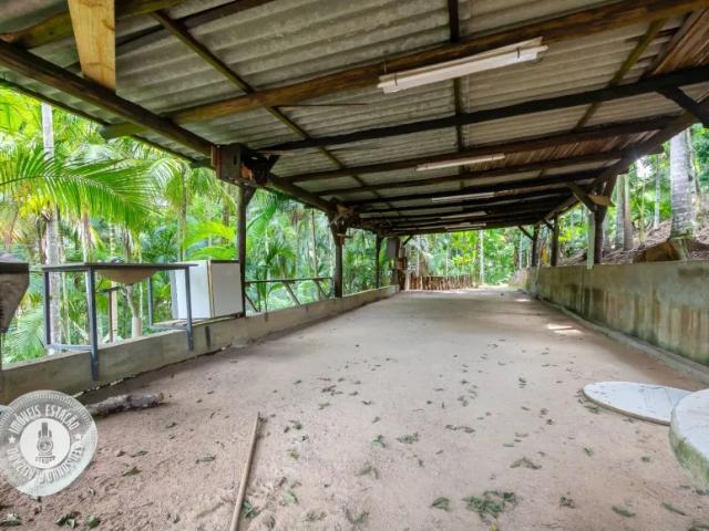 Fazenda venda em Região Geográfica Imediata de Blumenau, Blumenau