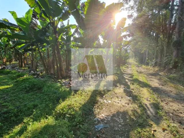 Fazenda venda em Região Imediata de Registro, Miracatu