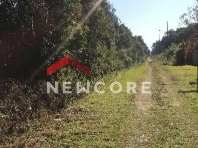 Fazenda venda em Itanhaém