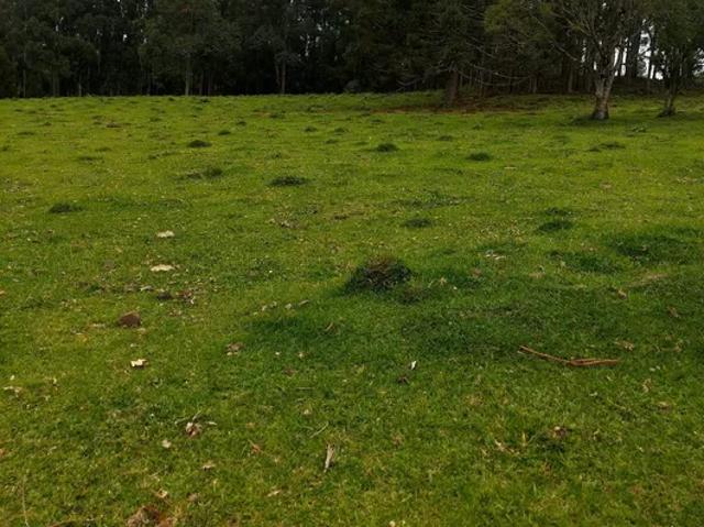 Fazenda venda em Primeiro Distrito, Caxias do Sul