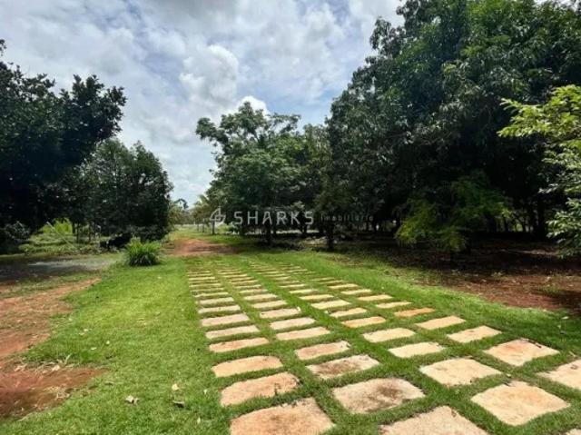 Fazenda venda em Região Geográfica Imediata de Goiânia, Senador Canedo