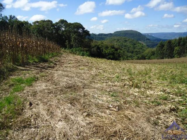 Fazenda venda em Primeiro Distrito, Caxias do Sul