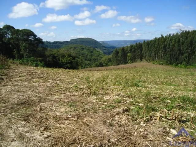 Fazenda venda em Região Geográfica Imediata de Caxias do Sul, Caxias do Sul