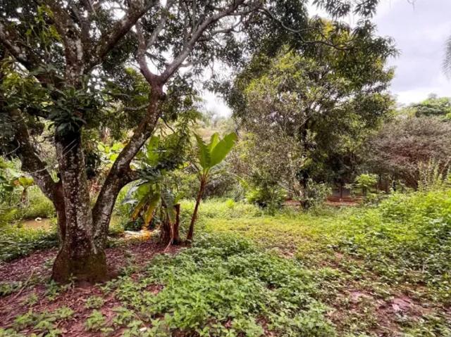 Fazenda venda em Região Geográfica Imediata de Goiânia, Senador Canedo