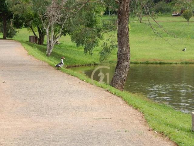 Fazenda aluguel em Região Imediata de Campinas, Região Metropolitana de Campinas