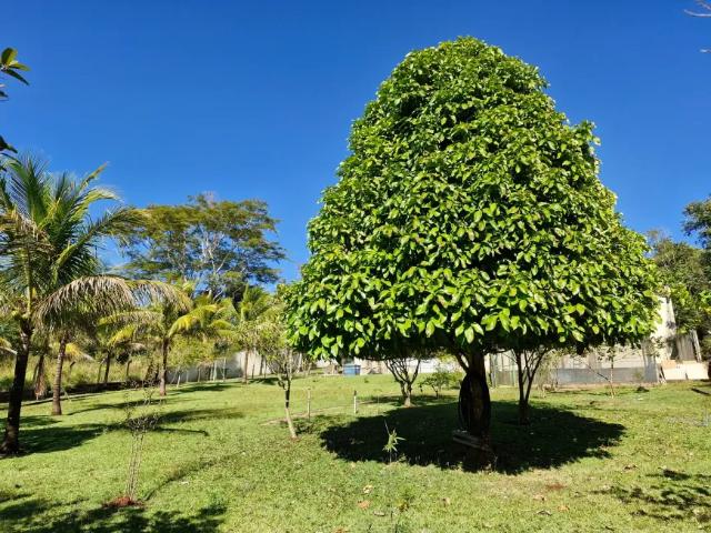Fazenda venda em Região Geográfica Imediata de Uberlândia, Oliveira Fortes