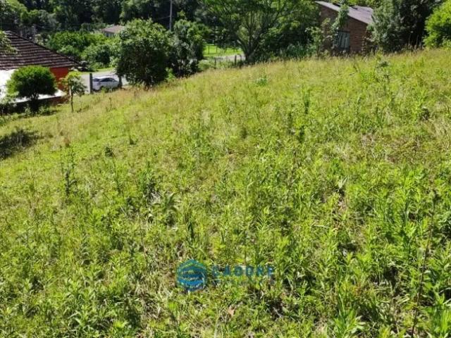 Fazenda venda em Primeiro Distrito, Caxias do Sul
