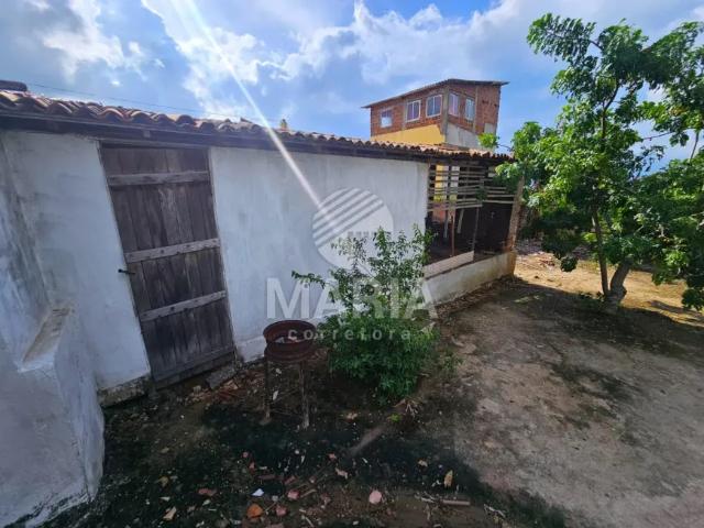 Fazenda venda em Região Geográfica Imediata de Caruaru, Gravata