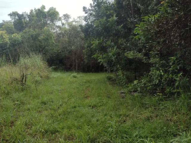 Fazenda venda em Região Geográfica Imediata do Distrito Federal, Região Integrada de Desenvolvimento do Distrito Federal e Entorno