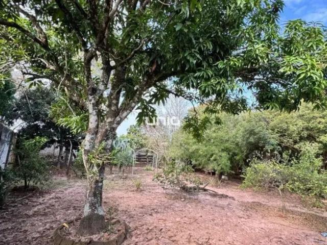 Fazenda aluguel em Região Imediata de Piracicaba, Região Metropolitana de Piracicaba