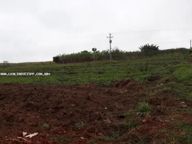 Fazenda venda em Região Imediata de Presidente Prudente, Alfredo Marcondes
