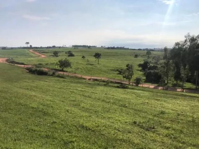 Fazenda venda em Região Imediata de Presidente Prudente, Anhumas