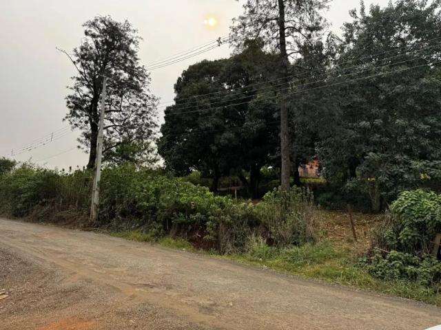 Fazenda venda em Região Geográfica Imediata de Londrina, Londrina