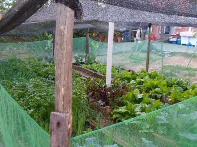 Fazenda venda em Região Imediata de Presidente Prudente, Álvares Machado