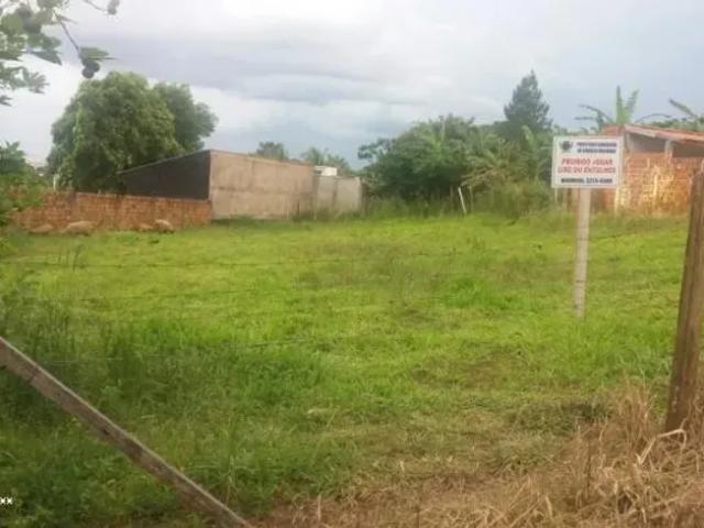 Fazenda venda em Região Imediata de Presidente Prudente, Álvares Machado