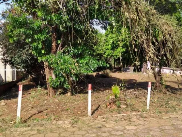Fazenda venda em Região Imediata de Presidente Prudente, Álvares Machado