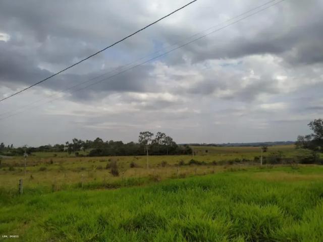 Fazenda venda em Região Imediata de Presidente Prudente, Álvares Machado