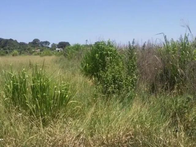 Fazenda venda em Região Imediata de Presidente Prudente, Álvares Machado