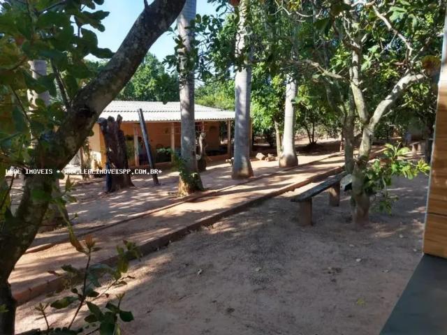 Fazenda venda em Região Imediata de Presidente Prudente, Álvares Machado