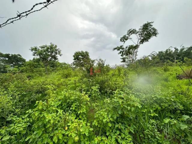 Fazenda venda em Região Imediata de Presidente Prudente, Pirapozinho