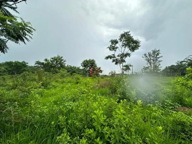 Fazenda venda em Região Imediata de Presidente Prudente, Pirapozinho