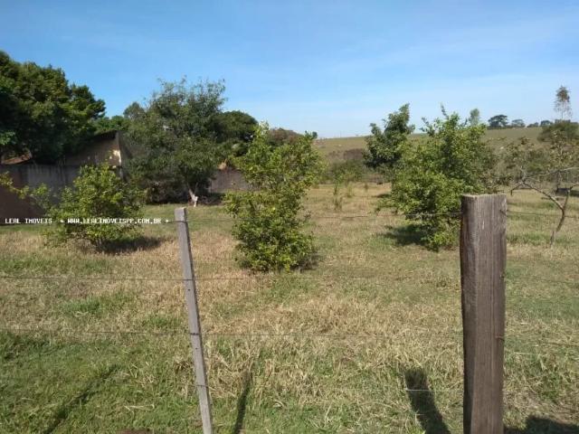 Fazenda venda em Região Imediata de Presidente Prudente, Presidente Prudente