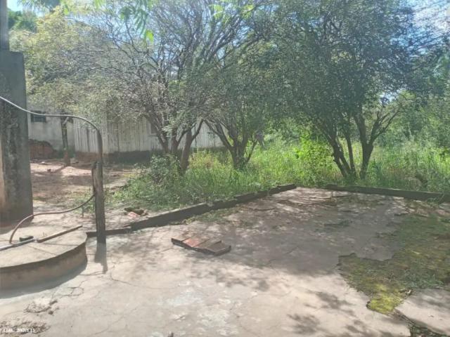 Fazenda venda em Região Imediata de Presidente Prudente, Presidente Prudente