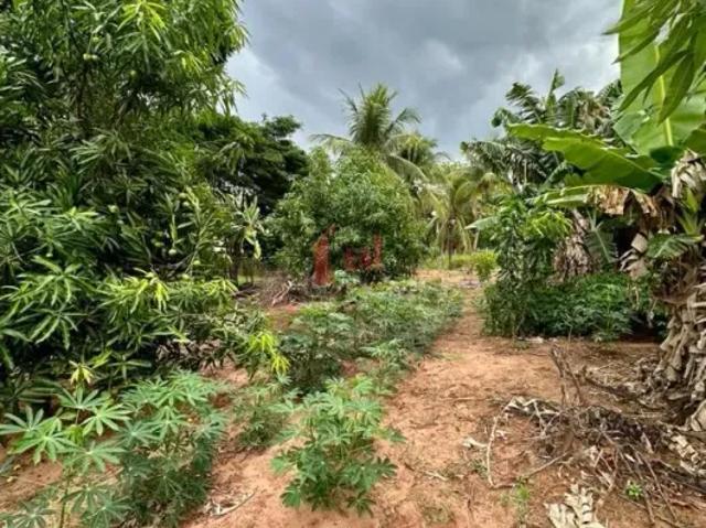 Fazenda venda em Região Imediata de Presidente Prudente, Presidente Prudente