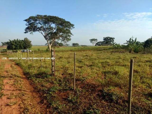 Fazenda venda em Região Imediata de Presidente Prudente, Presidente Prudente