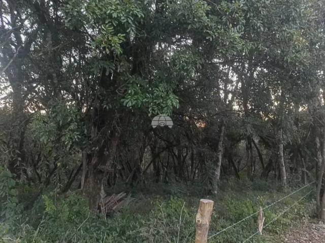 Fazenda venda em Região Geográfica Imediata de Curitiba, Região Metropolitana de Curitiba
