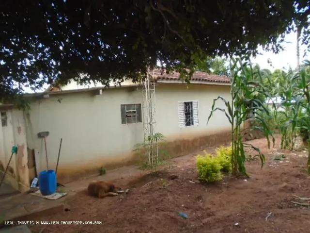 Fazenda venda em Região Imediata de Presidente Prudente, Regente Feijo