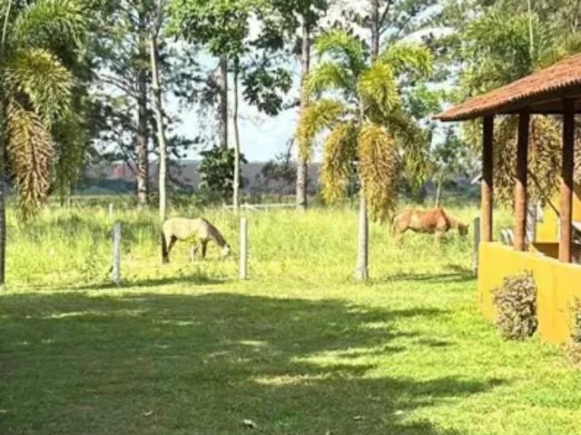 Fazenda venda em Região Imediata de Presidente Prudente, Regente Feijo