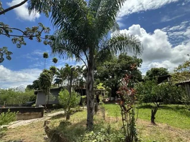 Fazenda venda em Região Imediata de Presidente Prudente, Regente Feijo