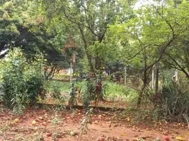 Fazenda venda em Região Imediata de Presidente Prudente, Regente Feijo
