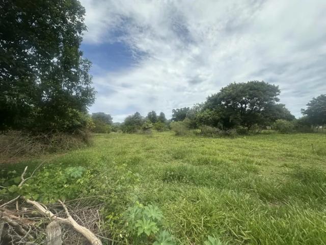 Fazenda venda em Região Imediata de Presidente Prudente, Regente Feijo
