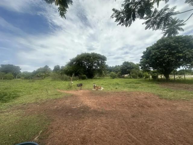 Fazenda venda em Região Imediata de Presidente Prudente, Regente Feijo