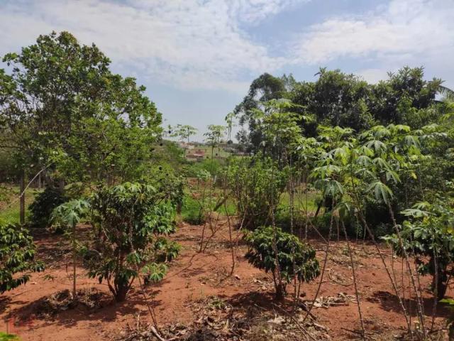 Fazenda venda em Região Imediata de Presidente Prudente, Regente Feijo