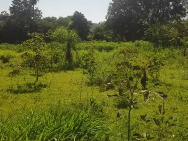 Fazenda venda em Região Geográfica Imediata de Aquidauana - Anastácio, Aquidauana