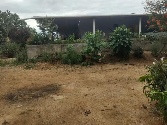 Fazenda venda em Região Geográfica Imediata do Distrito Federal, Região Integrada de Desenvolvimento do Distrito Federal e Entorno
