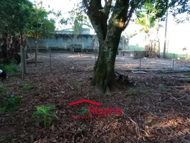 Fazenda venda em Região Imediata de São José dos Campos, Região Metropolitana do Vale do Paraíba e Litoral Norte
