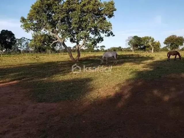 Fazenda venda em Região Geográfica Imediata de Campo Grande, Campo Grande
