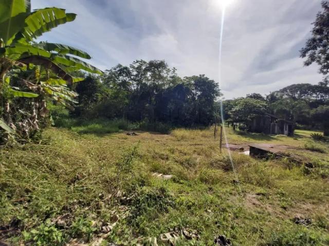 Fazenda venda em Região Geográfica Imediata de Joinville, Jaraguá do Sul