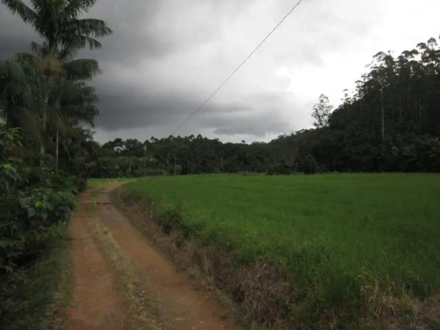 Fazenda venda em Região Geográfica Imediata de Joinville, Jaraguá do Sul